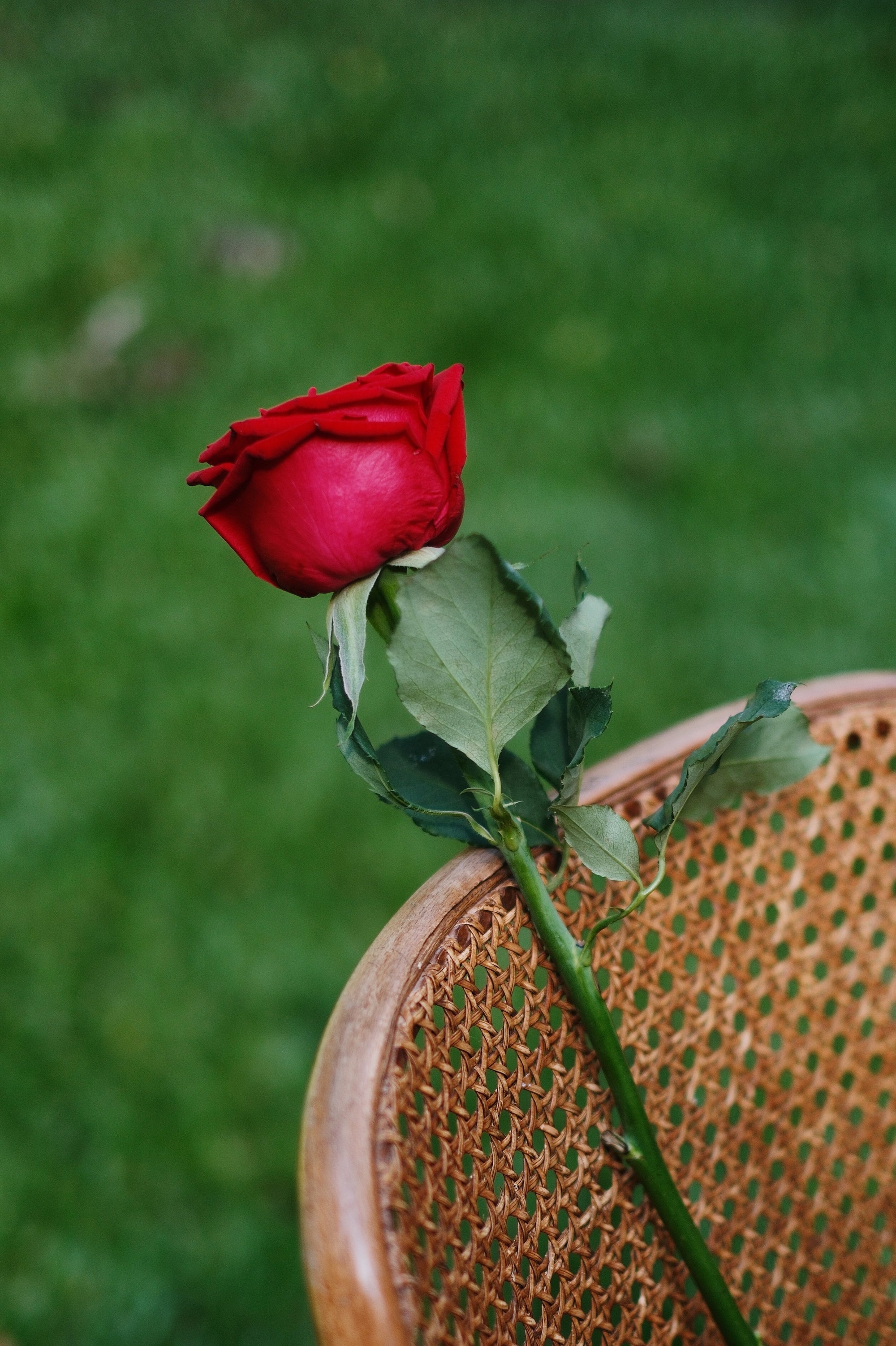 JEAN N°12 - THE BAGGY DARK BLUE